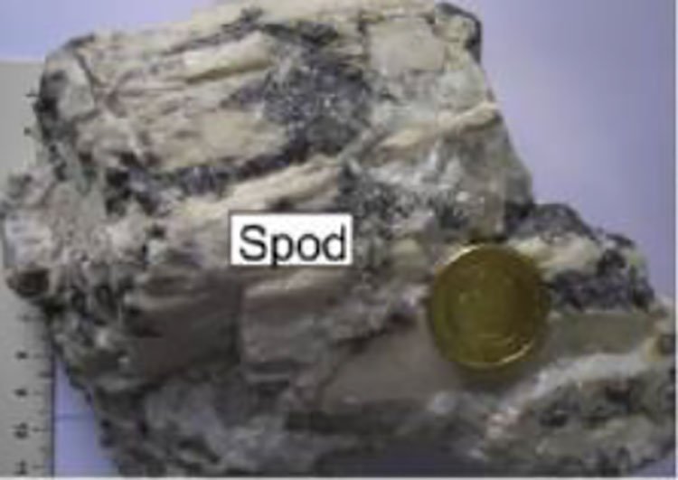 Lithium mineral