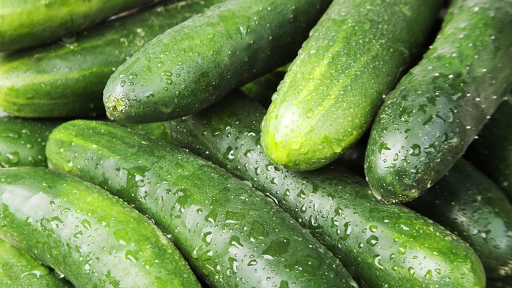 Abundant produce cucumber magnesium spray