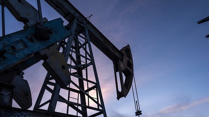 AOW-texan-assets-(2)