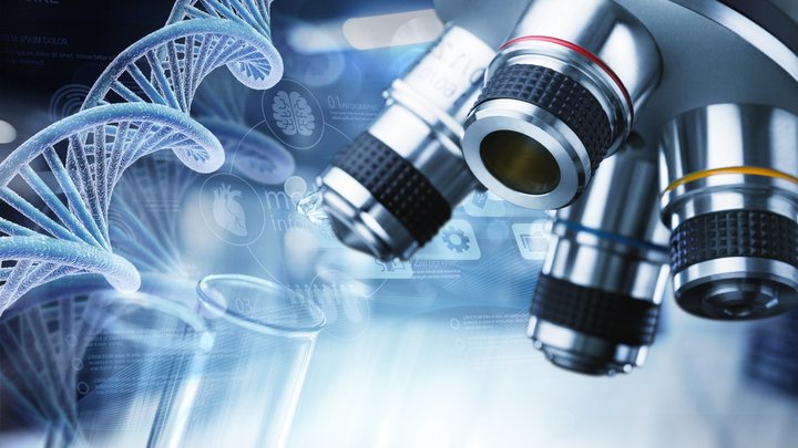 ASX biotech stock plays.jpeg