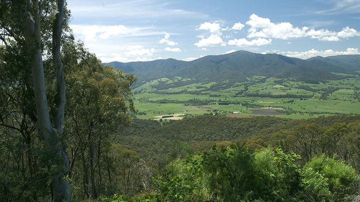 Eastern victorian goldfields