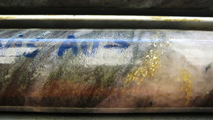 AuStar rose of denmark assays