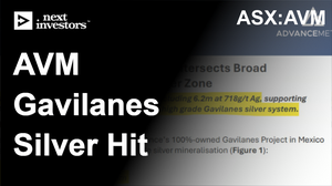 AVM-thumbnail