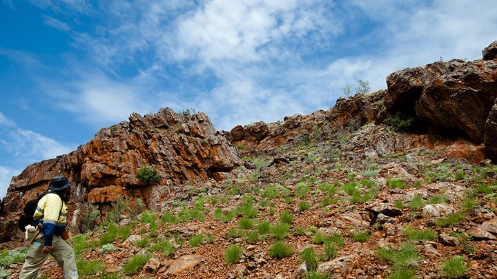 Millrose ELA Western Australia