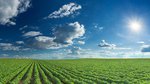 Agriculture