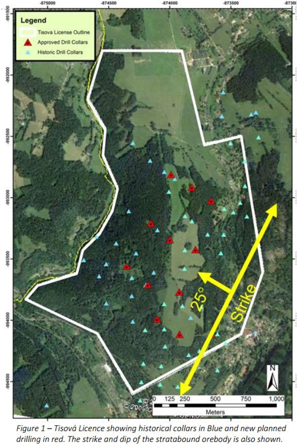 Next Investors Image