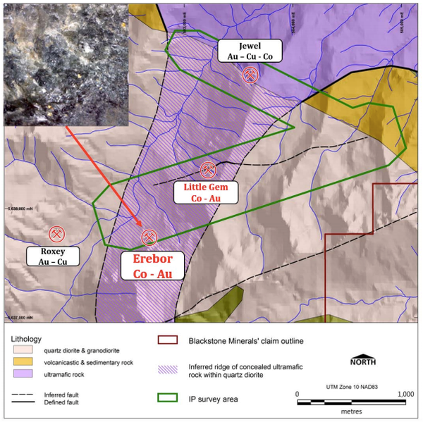 Plan view showing the Erebor discovery of visible gold and cobalt (erythrite) and IP survey area.