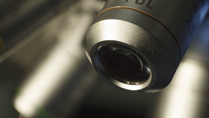 Castillo geology field team