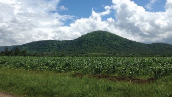 The Panda Hill project