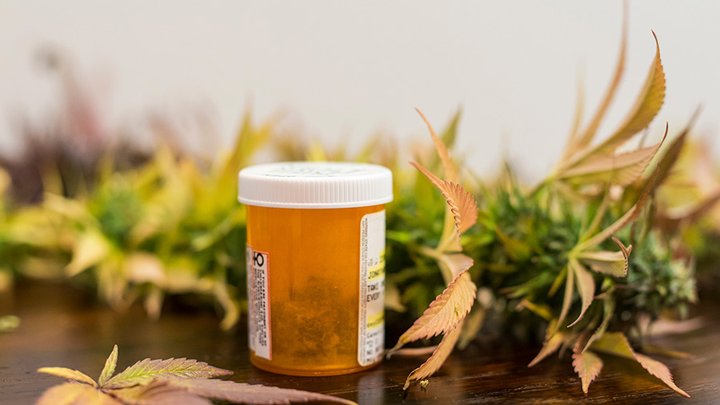 Creso-shares-shot-up-51-cents