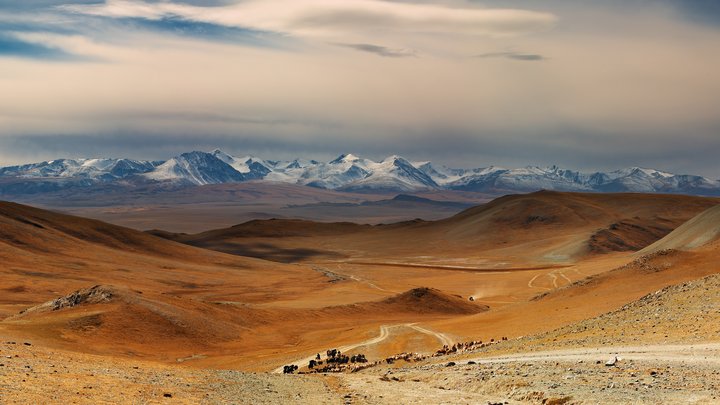 EXR mongolian acquisition.jpeg