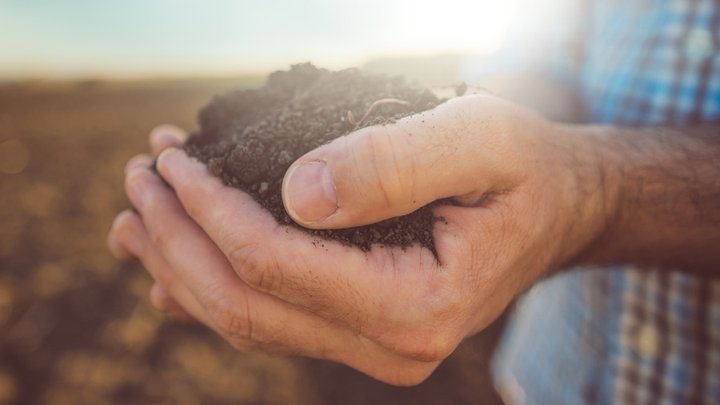 Farmer holding soil in hands