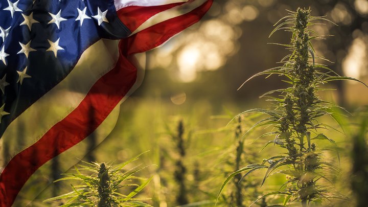 Finfeed image_Crop logic.jpg