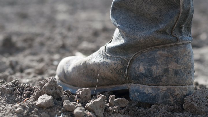 High grade metals flagship projects