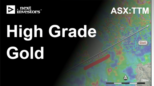 TTM reports high grade gold, new targets