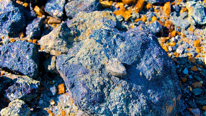 Geophysical programme