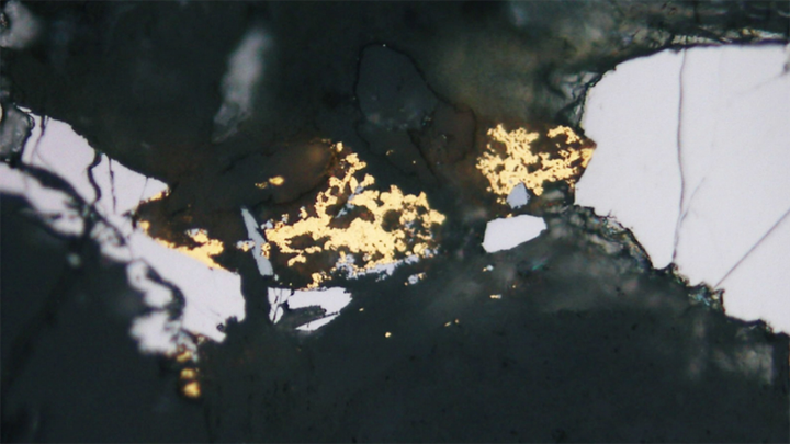 Marmota gold recovery