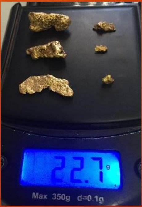 Minrex gold nuggets pilbara