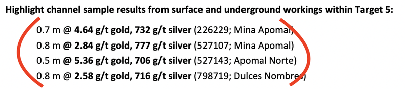 Next Investors Image