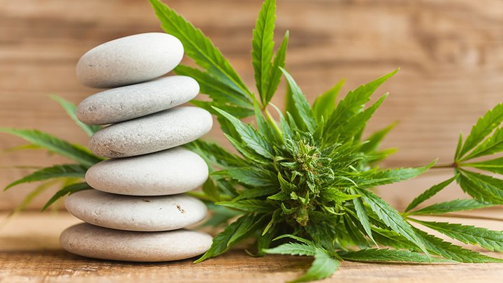 Mgc pharma derma cream