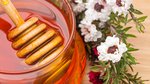 Honey Manuka New Zealand flowers