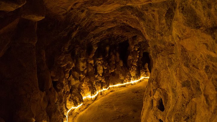 NVA alaskan gold.jpg