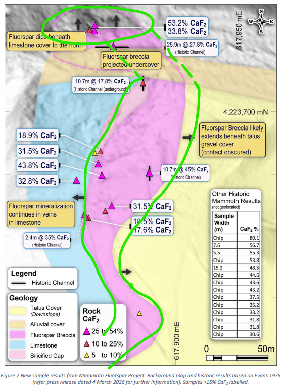 Next Investors Image