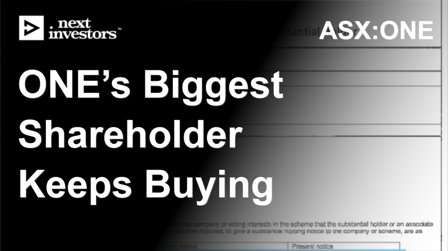 biggest shareholder in world