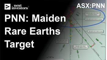 PNN defines maiden exploration target for its rare earths project in Brazil