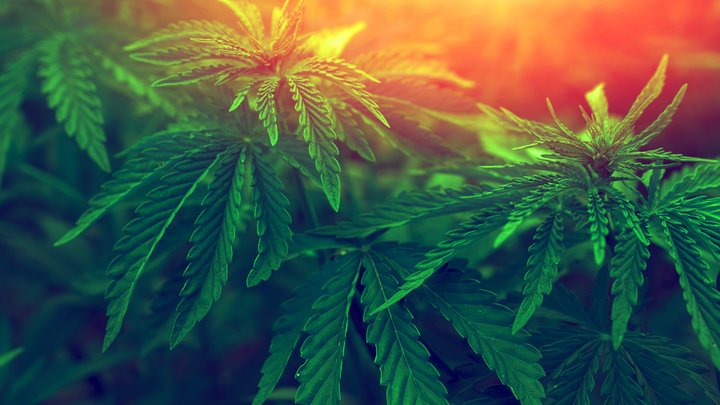 RGI purchase order.jpeg