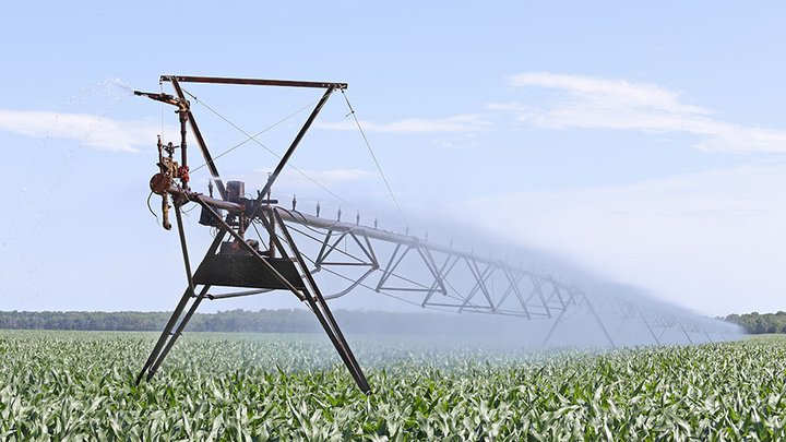 Roots dagan automation