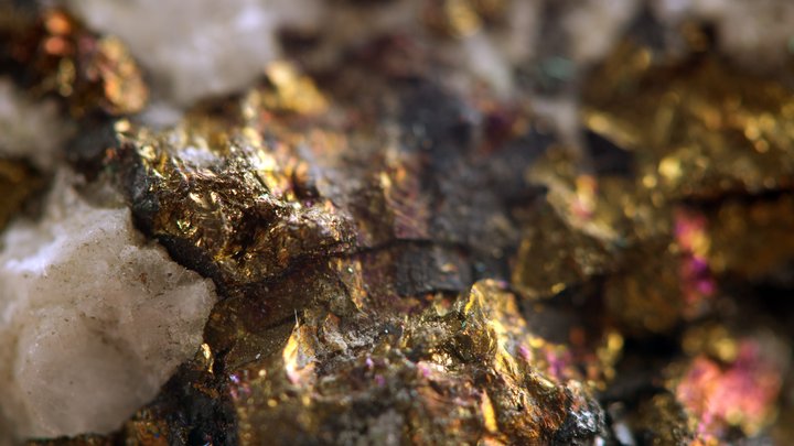 White rose prospect gold conductor