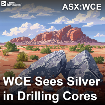 WCE silver visuals in drill cores from Elizabeth Hill drilling