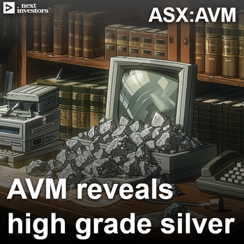 AVM finds high grade results in untested cores at silver project