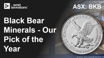 Our 2025 Small Cap Pick of the Year:  Black Bear Minerals (ASX: BKB)  (company name/code change from JBY)