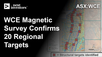WCE identifies 20 new silver targets on silver project in WA