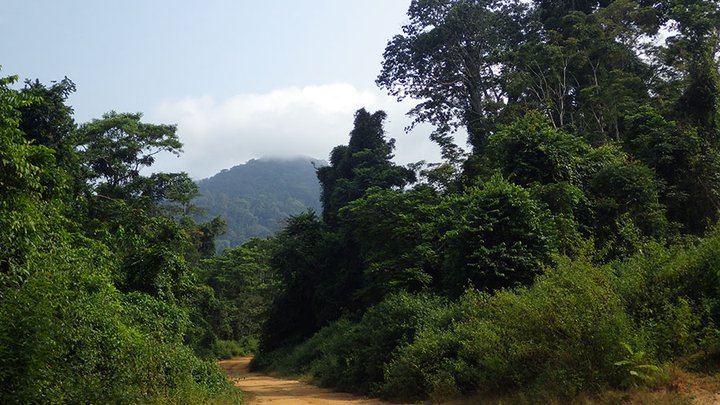 Trek metals africa projects