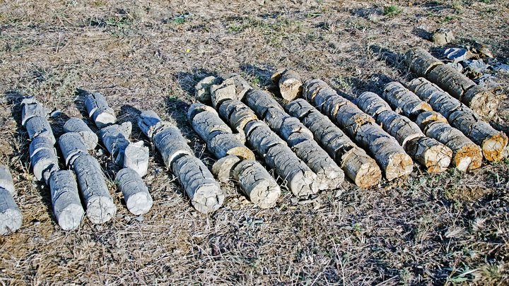 WRM mineralisation extension.jpeg