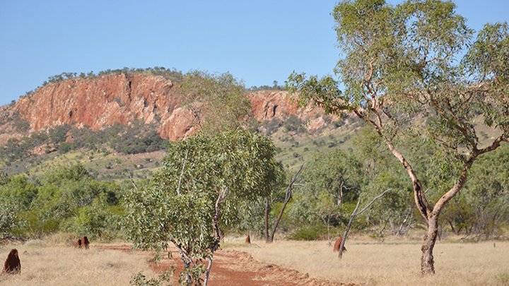 Altona Mining - Mt Roseby