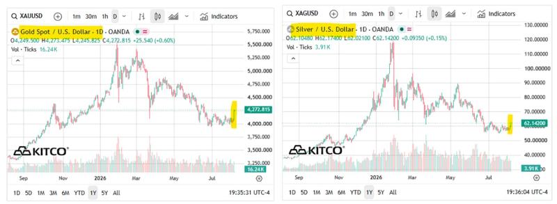 Next Investors Image