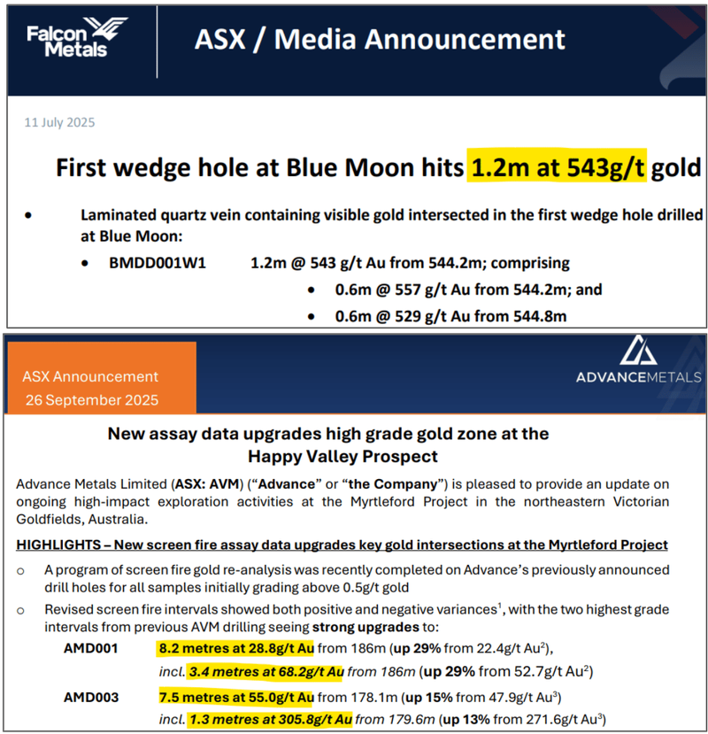 Next Investors Image