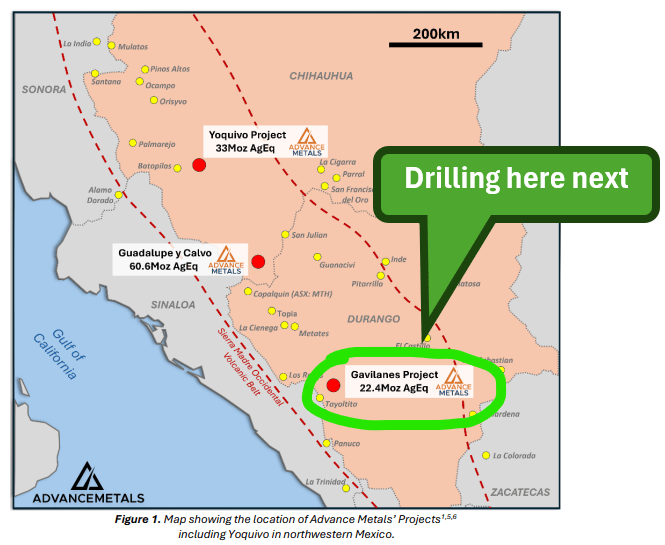 Next Investors Image