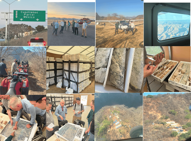 Next Investors Image