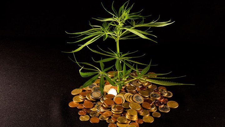 bigstock-Marijuana-and-Money-112402793
