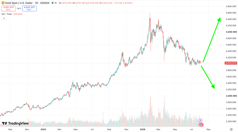 Next Investors Image