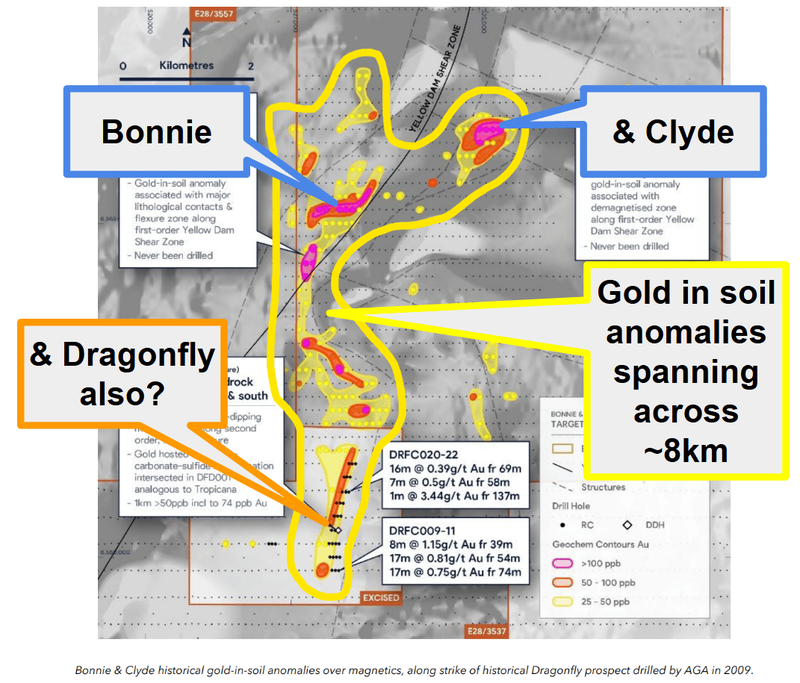 Next Investors Image