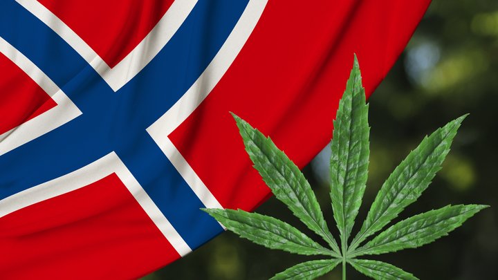 cannabis norway.jpeg
