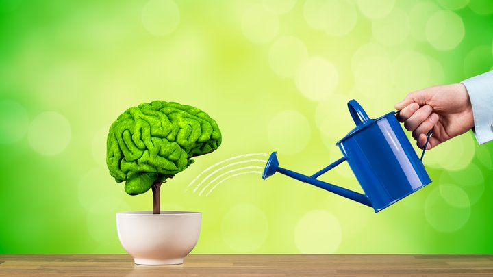 cognitive improvement.jpeg