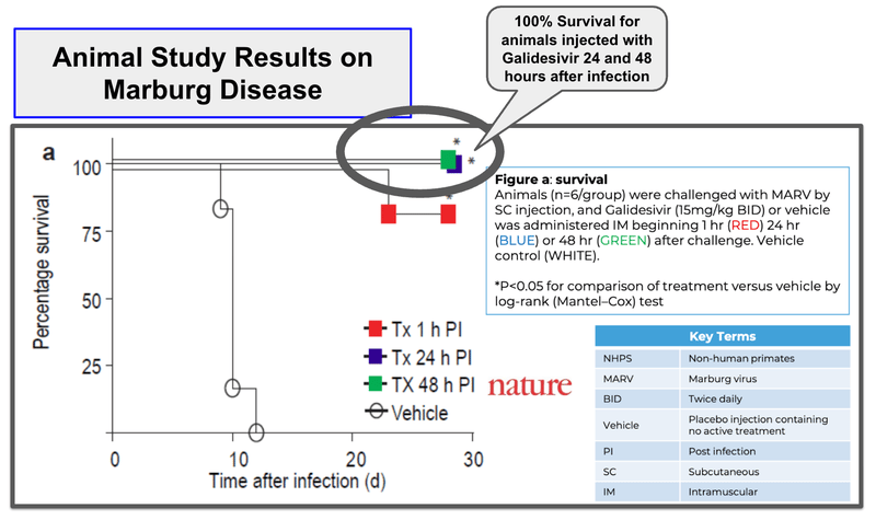 Next Investors Image