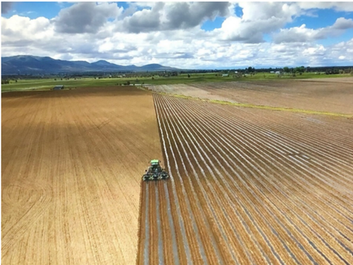 Drip Tape and Mulch Plastic being laid at field 'Hercules' (image taken with drone).